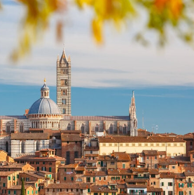 Siena3